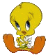 Avatar du membre