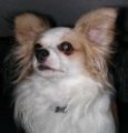 Avatar du membre
