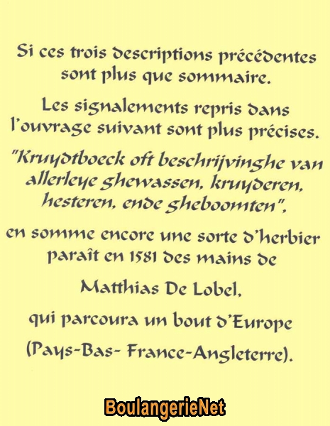 05 Description DeLobel
