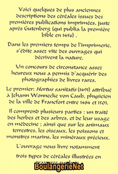 01 Présentation Hortus Sanitatis