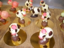 Paques Maison Langlet 4