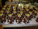 vaches