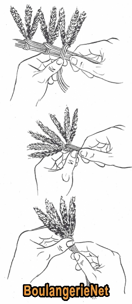 B003c