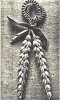 B029bb