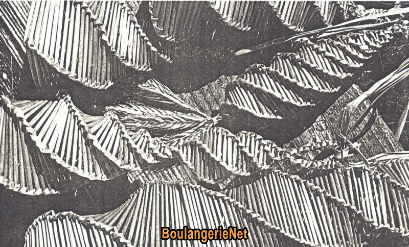 B030b