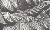 B030b