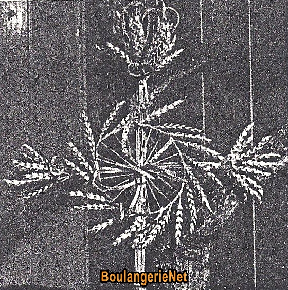 F006b