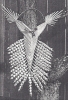 F006c